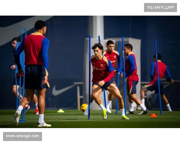 足球赛事全景指南：世界足球比赛大全详解顶级赛事一览